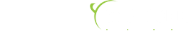 Systronic
